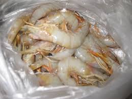 Banana Shrimp (Fenneropenaeus merguiensis)
