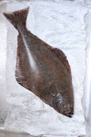 Fresh Halibut