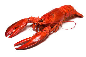 Lobsters