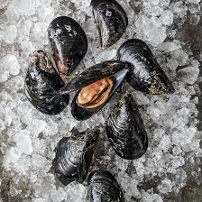 Buy Mediterranean Mussels (Mytilus galloprovincialis)